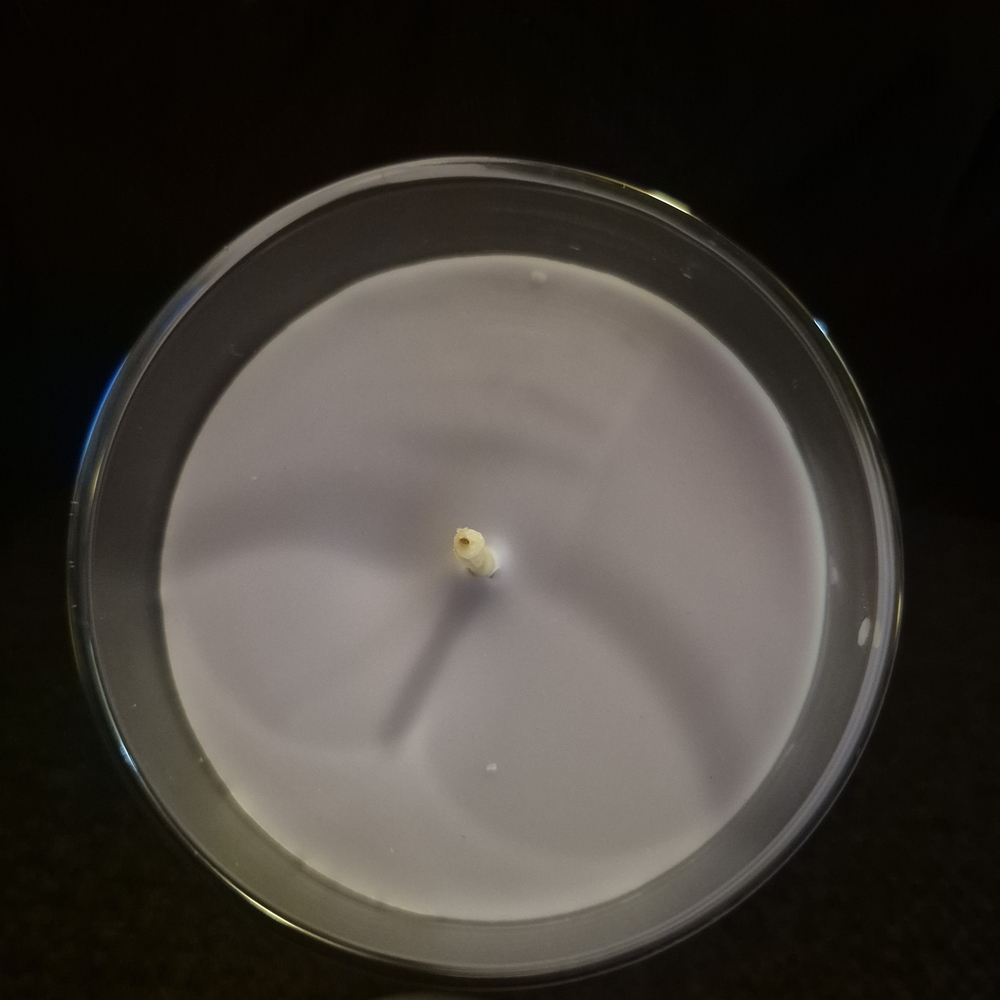 2 Yankee Candle Lavender Lemon Delight 14.5oz - Picture 5 of 5